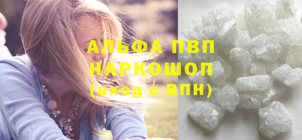 гашик Арсеньев