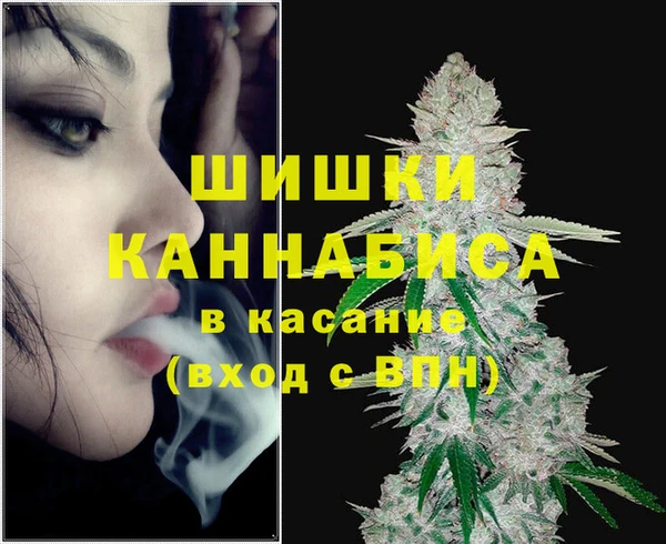 гашик Арсеньев