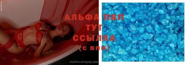 гашик Арсеньев
