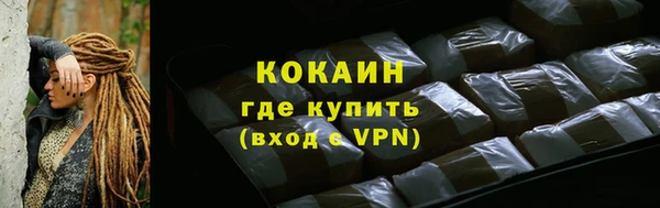 гашик Арсеньев
