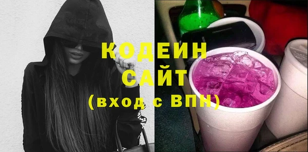 гашик Арсеньев