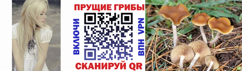 Галлюциногенные грибы мухоморы  Полярные Зори 